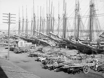 Muelle Tallapiedras, Havanna, ca 1904 (s/v foto) av American Photographer