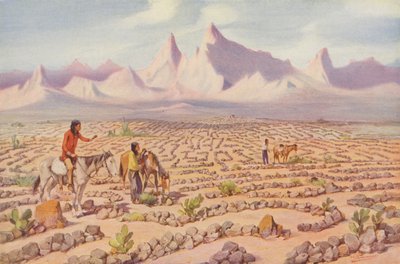 Mojave-indianernas mystiska labyrint, nära Needles, Kalifornien (färgfoto) av American Photographer