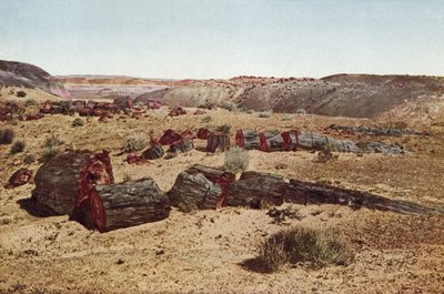 Petrified Forest, Arizona (färgat foto) av American Photographer