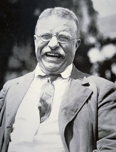 President Theodore Roosevelt, ca 1917 (foto svart/vitt) av American Photographer