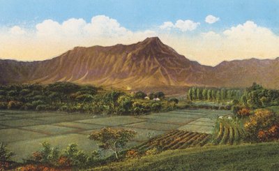 Risfält, Oahu (färgfoto) av American Photographer