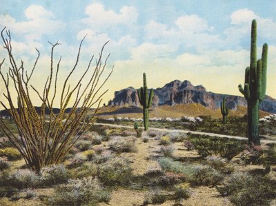 Superstition Mountain and Desert, "Apache Trail" (färgfoto) av American Photographer