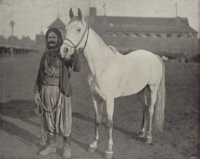 Beduinernas pris Steed av American Photographer