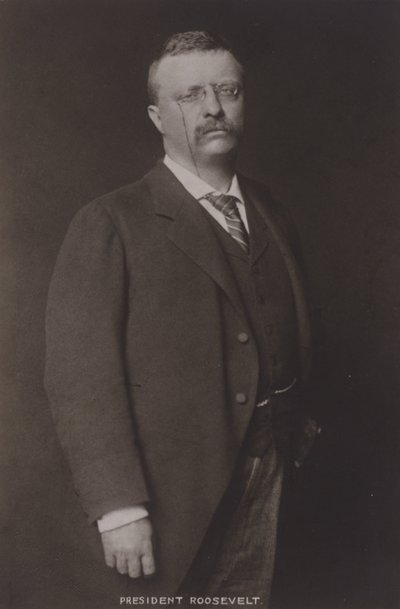 Theodore Roosevelt, USA:s 26:e president, 1904 av American Photographer