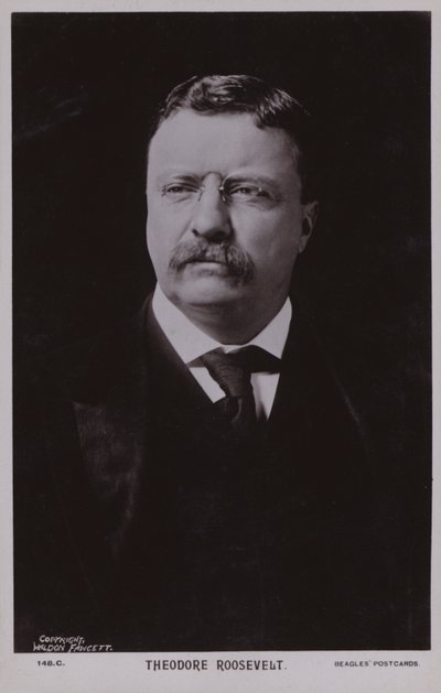 Theodore Roosevelt, amerikansk politiker och USA:s 26:e president (svartvitt foto) av American Photographer