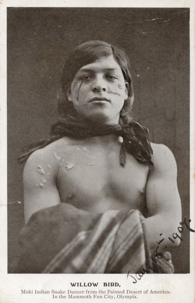 Willow Bird - Moki-indiansk ormdansare från den målade öknen i Amerika (svartvitt foto) av American Photographer