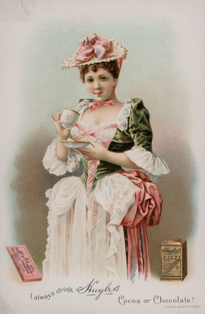 Annons för Huylers kakao och drickchoklad, 1893 av American School