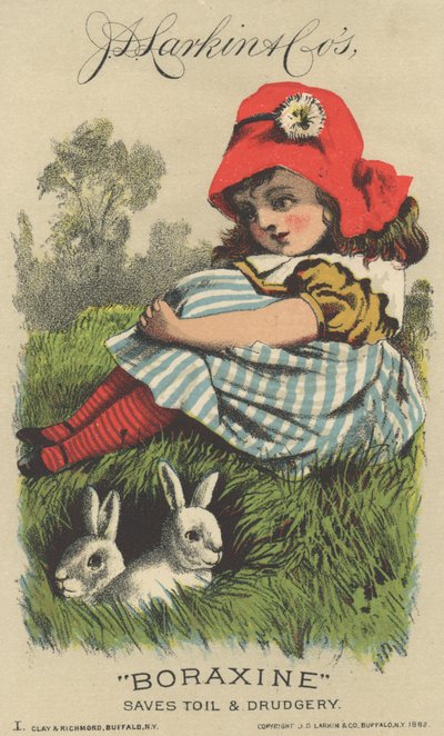 Annons för J. D. Larkin & Cos Boraxine, 1882 av American School