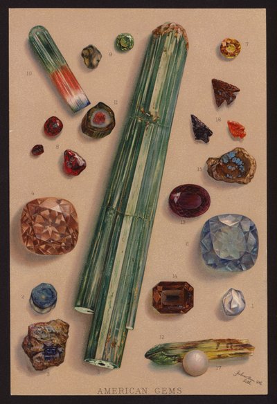 Amerikanska ädelstenar (färglitografi) av American School