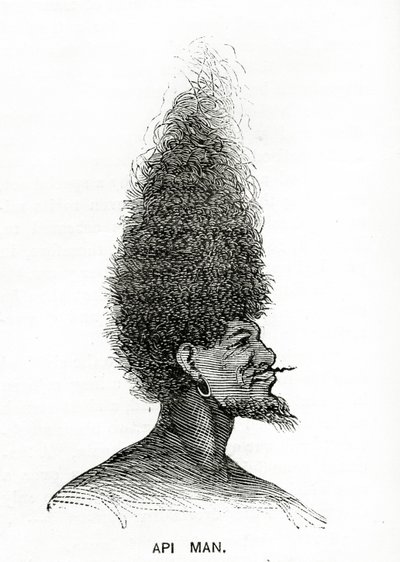 Api Man, illustration från Appletons Journal, 4 maj 1872 av American School