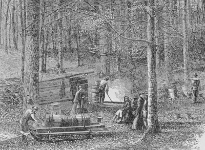 At the Maple Syrup Camp, illustration från 