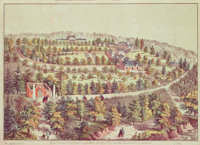 Fågelperspektiv över Mount Vernon, 1859 av American School