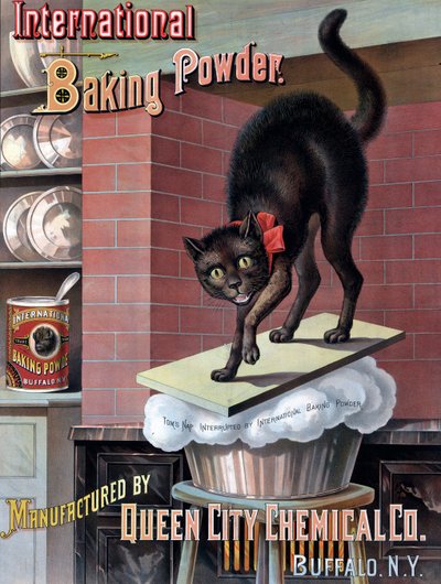 Svart katt som vaknar av jäsande bröddeg, ca 1885 (kromolitografi) av American School