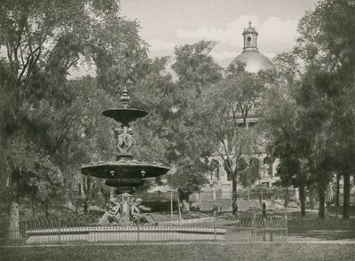 Boston Common (fotogravyr) av American School