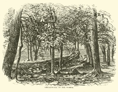 Bröstarbete i skogen, juli 1863 av American School