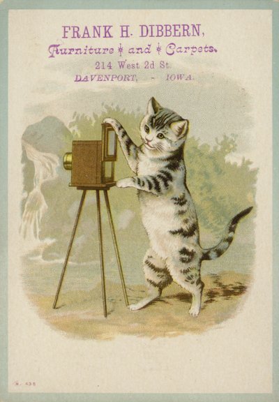Katt som tar ett fotografi av American School