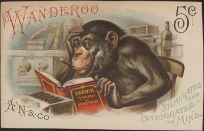 Charles Darwin, utvecklingsteori (dvs evolution) av American School