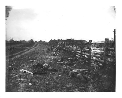 Konfedererade döda längs västsidan av Hagerstown Pike, slaget vid Antietam, 19 september 1862 av American School