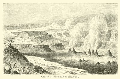 Crater of Mauna-Koa, Hawaii av American School