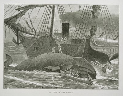 Cutting up the Whale, från The American Whale Fishery, ca 1850 (gravyr) av American School