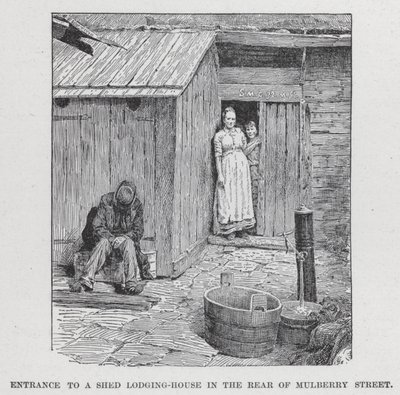 Ingång till ett skjul-hus på baksidan av Mulberry Street (litho) av American School