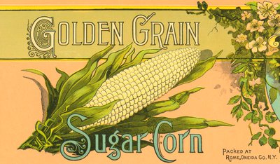 Produktetikett för sockermajs med gyllene korn, ca 1890 (färglitografi) av American School