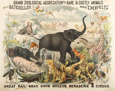 Grand Zoological Aggregation av sällsynta och kostsamma djur med Batcheller och Doris (chromolitho) av American School