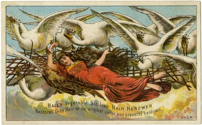 Halls Vegetable Sicilian Hair Renewer, Återställer grått hår till sin ursprungliga färg och förhindrar håravfall, Recto (färg litho [handelskort]) av American School