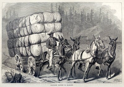 Hauling Cotton to Market, från etthundraåriga framsteg i USA, pub. 1871 gravyr av American School