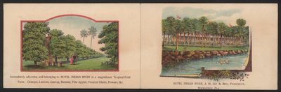 Hotel Trade Card (färgad gravyr) av American School