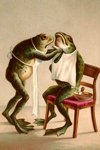 Humoristisk illustration av en groda som rakar sig av American School