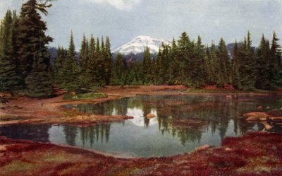 I Oregon-bergen (färg litho) av American School