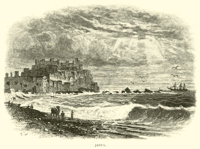 Jaffa av American School