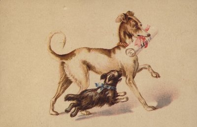 Stor och liten hund som springer av American School