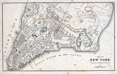Karta över New York (litho) av American School