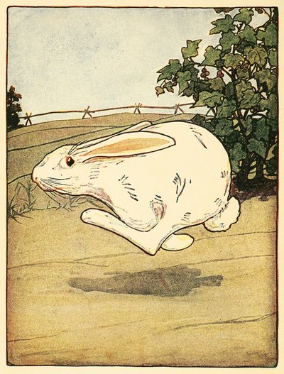 Peter slutade aldrig springa, från The Tale of Peter Rabbit, pub. 1916 färglitografi, 1916. av American School