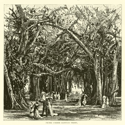 Picknick under banyanträd av American School