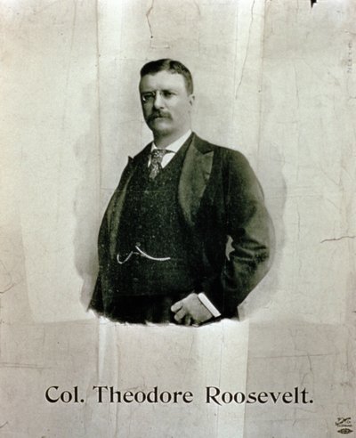 Porträtt av överste Theodore Roosevelt av American School