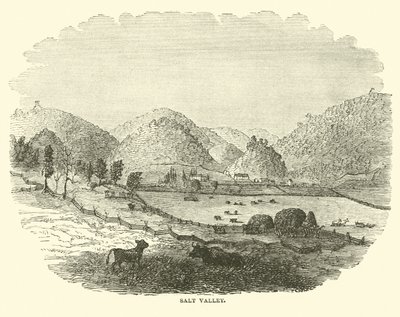 Saltdalen, december 1864 av American School