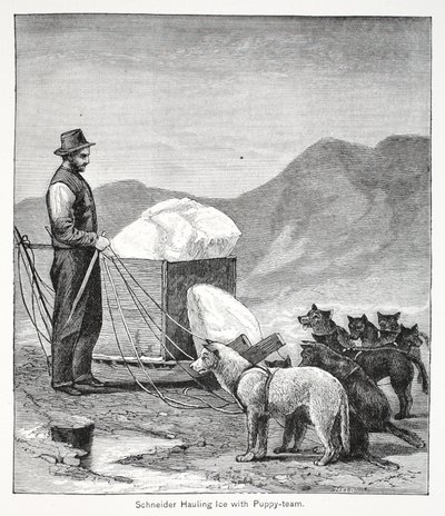 Schneider drar is med valplaget, pub. London 1886 av American School