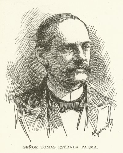 Herr Tomas Estrada Palma av American School