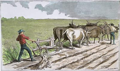 Sodbusters of the American West, c.1880 (färgad gravyr) av American School