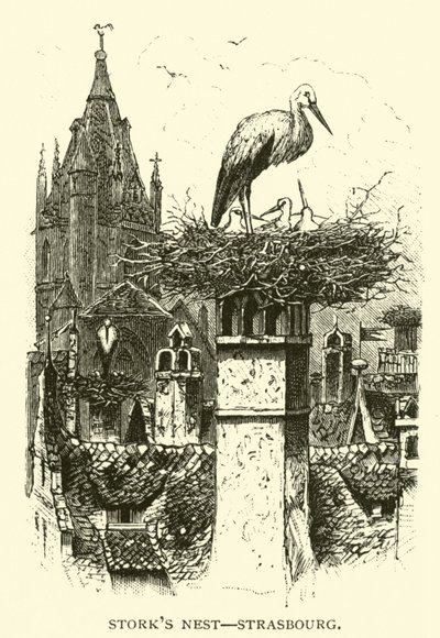 Storkbo, Strasbourg av American School