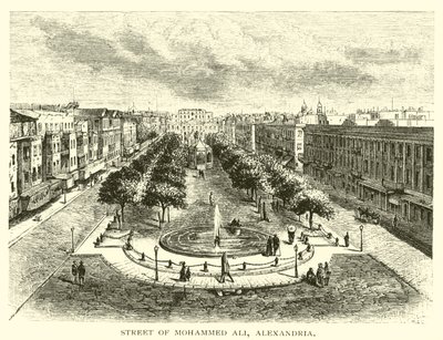 Mohammed Alis gata, Alexandria av American School