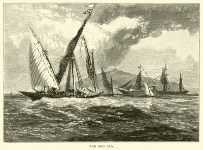 Röda havet av American School