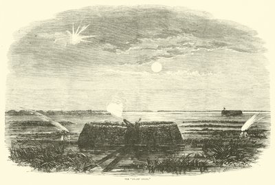 Träskängeln, augusti 1863 av American School