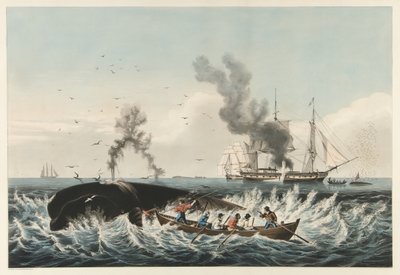The Whale Fishery - Att attackera en "rätt" val och "cutting in", pub. 1860 (lito i färg) av American School