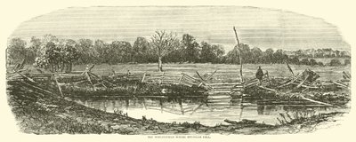 Vetefältet där Reynolds föll, juli 1863 av American School