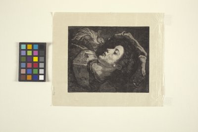 The Young Squire (trägravering) av American School