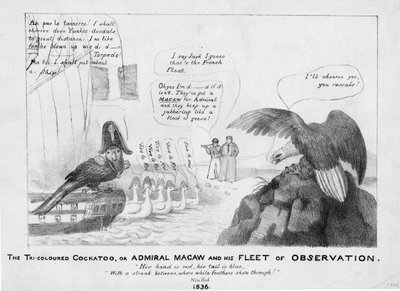 Den trefärgade kakaduan, eller, Amiral Macaw och hans observationsflotta, 1836 av American School